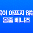 강아지 목줄, 목이 아프지 않는 몸줄 베니즈 55