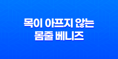강아지 목줄, 목이 아프지 않는 몸줄 베니즈 41