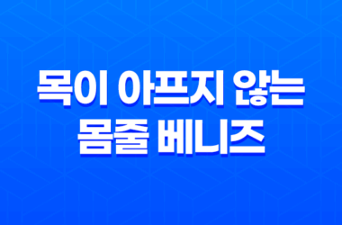 강아지 목줄, 목이 아프지 않는 몸줄 베니즈 12 강아지 목줄, 목이 아프지 않는 몸줄 베니즈 11