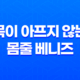 강아지 목줄, 목이 아프지 않는 몸줄 베니즈 49