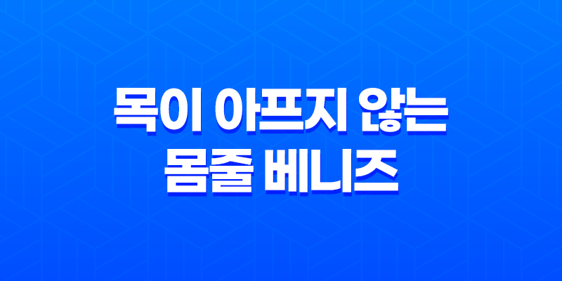 강아지 목줄, 목이 아프지 않는 몸줄 베니즈 8 강아지 목줄, 목이 아프지 않는 몸줄 베니즈 7