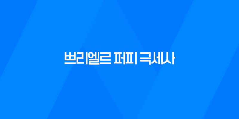 강아지 카시트 쁘리엘르 퍼피 극세사 (진그레이) - 안전하고 편안한 강아지 카시트 8 강아지 카시트 쁘리엘르 퍼피 극세사 (진그레이) - 안전하고 편안한 강아지 카시트 7