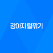 강아지 털깎기, 여름 더위를 시원하게 이겨내는 방법 45