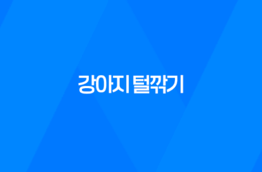 강아지 털깎기, 여름 더위를 시원하게 이겨내는 방법 11