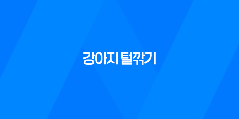 강아지 털깎기, 여름 더위를 시원하게 이겨내는 방법 7