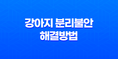 강아지 두마리 키우기, 강아지 분리불안 해결방법 13