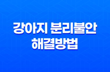 강아지 두마리 키우기, 강아지 분리불안 해결방법 14 강아지 두마리 키우기, 강아지 분리불안 해결방법 13