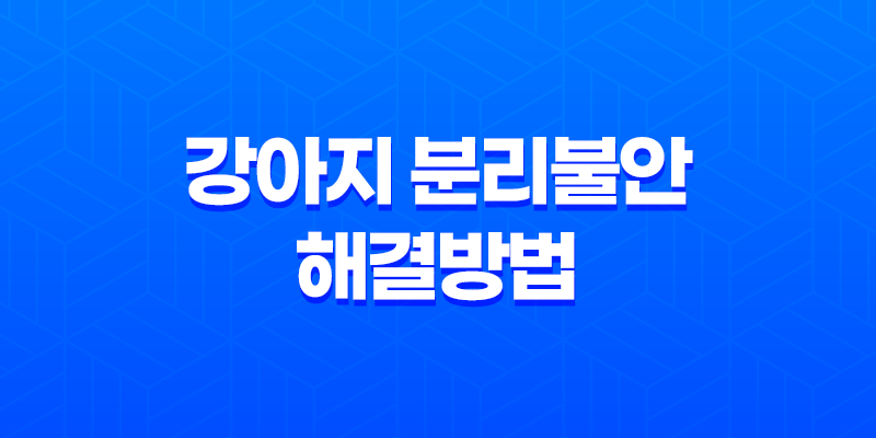 강아지 두마리 키우기, 강아지 분리불안 해결방법 8 강아지 두마리 키우기, 강아지 분리불안 해결방법 7