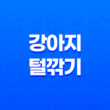 강아지 털깎기, 여름 더위를 시원하게 이겨내는 방법 41