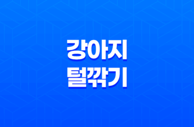 강아지 털깎기, 여름 더위를 시원하게 이겨내는 방법 28 강아지 털깎기, 여름 더위를 시원하게 이겨내는 방법 27