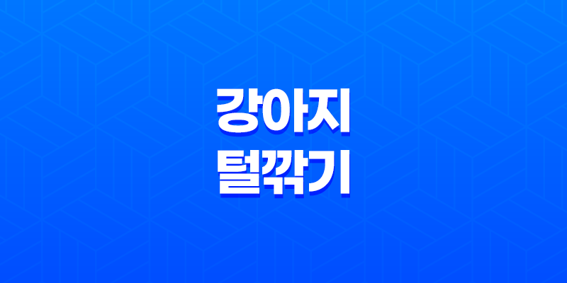 강아지 털깎기, 여름 더위를 시원하게 이겨내는 방법 8 강아지 털깎기, 여름 더위를 시원하게 이겨내는 방법 7