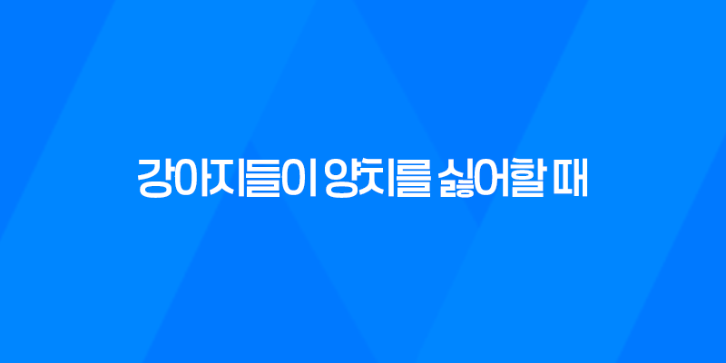 이 이미지는 대체 속성이 비어있습니다. 그 파일 이름은 image-1.png입니다