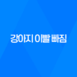 강아지 이빨 빠짐, 딱딱한 껌 주지 마세요 - 어떻게 대처해야 할까요? 37