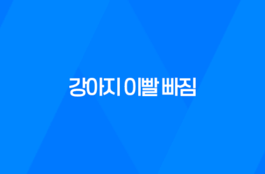 강아지 이빨 빠짐, 딱딱한 껌 주지 마세요 - 어떻게 대처해야 할까요? 11