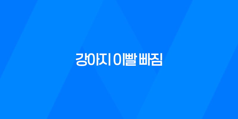 강아지 이빨 빠짐, 딱딱한 껌 주지 마세요 - 어떻게 대처해야 할까요? 7