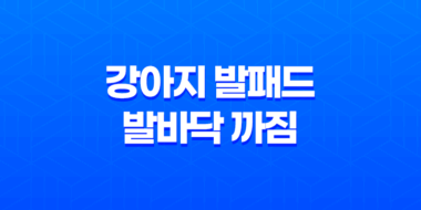 강아지 발패드 발바닥 까짐, 여름 산책 조심하세요! 67