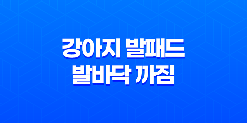 강아지 발패드 발바닥 까짐, 여름 산책 조심하세요! 7