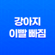 강아지 이빨 빠짐, 딱딱한 껌 주지 마세요 - 어떻게 대처해야 할까요? 37