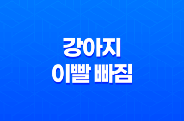 강아지 이빨 빠짐, 딱딱한 껌 주지 마세요 - 어떻게 대처해야 할까요? 27