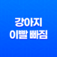 강아지 이빨 빠짐, 딱딱한 껌 주지 마세요 - 어떻게 대처해야 할까요? 38 강아지 이빨 빠짐, 딱딱한 껌 주지 마세요 - 어떻게 대처해야 할까요? 37