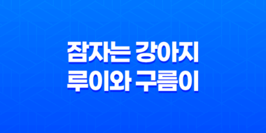 잠자는 강아지 루이와 구름이, 너무 귀여운 루이와 구름이! 45