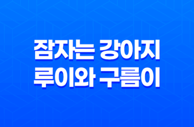 잠자는 강아지 루이와 구름이, 너무 귀여운 루이와 구름이! 17