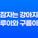 잠자는 강아지 루이와 구름이, 너무 귀여운 루이와 구름이! 73