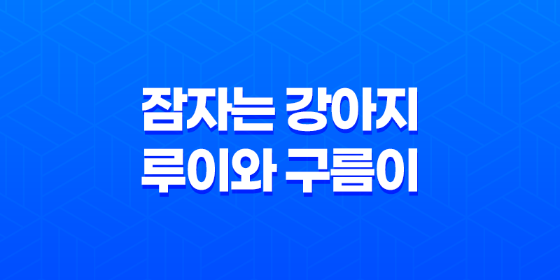 잠자는 강아지 루이와 구름이, 너무 귀여운 루이와 구름이! 8 잠자는 강아지 루이와 구름이, 너무 귀여운 루이와 구름이! 7
