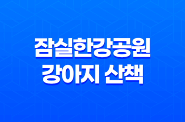 잠실한강공원 강아지 산책 강아지 에티켓 총정리 10 잠실한강공원 강아지 산책 강아지 에티켓 총정리 9