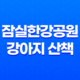 잠실한강공원 강아지 산책 강아지 에티켓 총정리 71