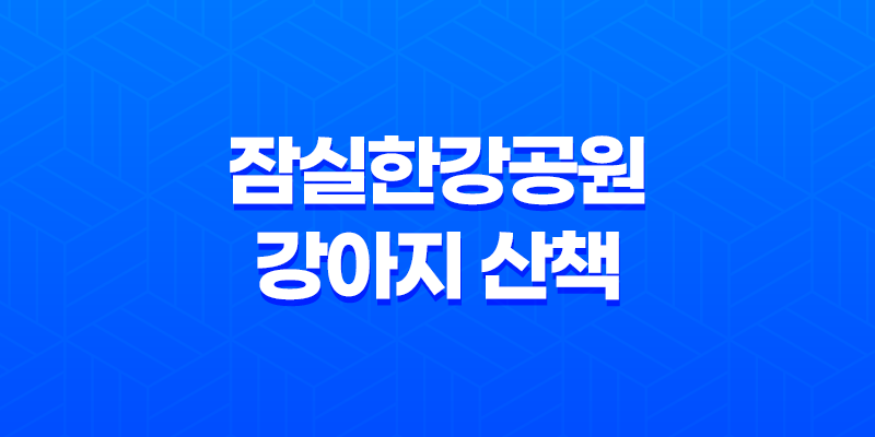 잠실한강공원 강아지 산책 강아지 에티켓 총정리 8 잠실한강공원 강아지 산책 강아지 에티켓 총정리 7
