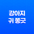 강아지 귀 쫑긋 무슨 의미일까? 55