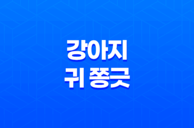 강아지 귀 쫑긋 무슨 의미일까? 16 강아지 귀 쫑긋 무슨 의미일까? 15