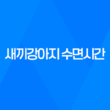 새끼강아지 수면시간, 애기강아지들이 너무 귀여워요! 35