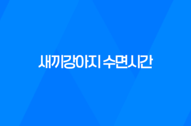 새끼강아지 수면시간, 애기강아지들이 너무 귀여워요! 15