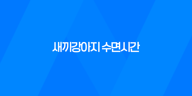 새끼강아지 수면시간, 애기강아지들이 너무 귀여워요! 8 새끼강아지 수면시간, 애기강아지들이 너무 귀여워요! 7