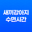 새끼강아지 수면시간, 애기강아지들이 너무 귀여워요! 43