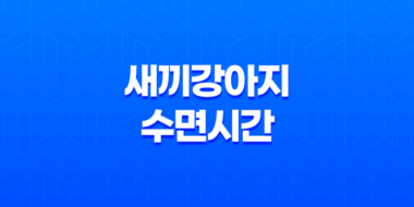 새끼강아지 수면시간, 애기강아지들이 너무 귀여워요! 43