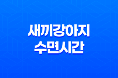 새끼강아지 수면시간, 애기강아지들이 너무 귀여워요! 20 새끼강아지 수면시간, 애기강아지들이 너무 귀여워요! 19