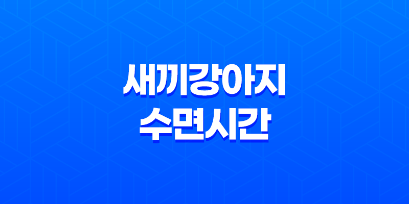 새끼강아지 수면시간, 애기강아지들이 너무 귀여워요! 8 새끼강아지 수면시간, 애기강아지들이 너무 귀여워요! 7