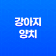 강아지 양치, 강아지들이 양치를 싫어할 때 대처 방법은? 73