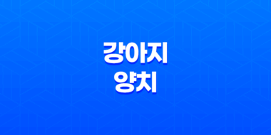 강아지 양치, 강아지들이 양치를 싫어할 때 대처 방법은? 52
