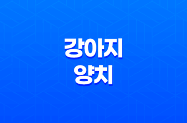 강아지 양치, 강아지들이 양치를 싫어할 때 대처 방법은? 22 강아지 양치, 강아지들이 양치를 싫어할 때 대처 방법은? 21