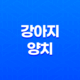 강아지 양치, 강아지들이 양치를 싫어할 때 대처 방법은? 35
