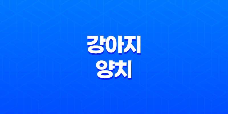 강아지 양치, 강아지들이 양치를 싫어할 때 대처 방법은? 8 강아지 양치, 강아지들이 양치를 싫어할 때 대처 방법은? 7