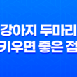 강아지 두마리 키우면 좋은 점, 장단점 47