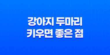 강아지 두마리 키우면 좋은 점, 장단점 11