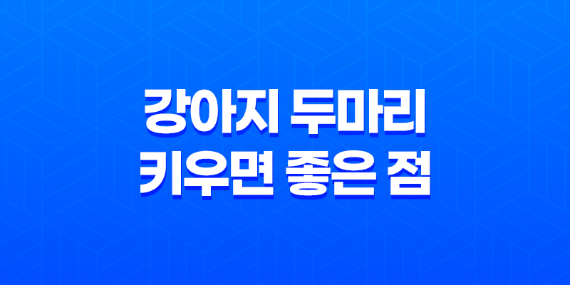 강아지 두마리 키우면 좋은 점, 장단점 8 강아지 두마리 키우면 좋은 점, 장단점 7