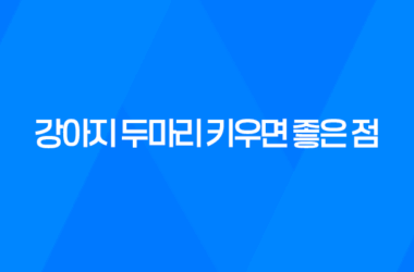 강아지 두마리 키우면 좋은 점, 장단점 7