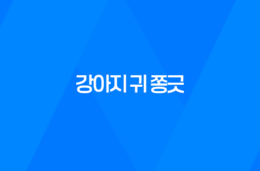 강아지 귀 쫑긋 무슨 의미일까? 11